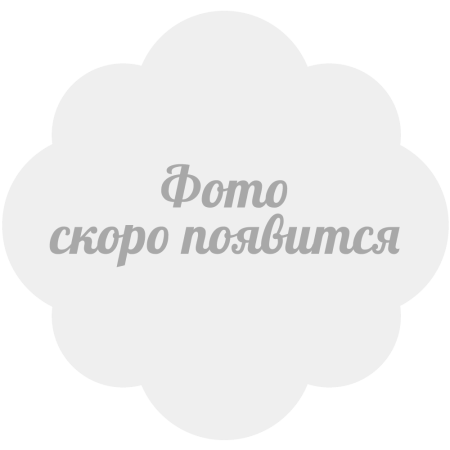 Термотрансфер, 14, 5 см* 23 см, две девочки в платьях, одна в джинсах. большие